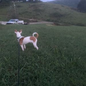 Meet your Posher, Tequila